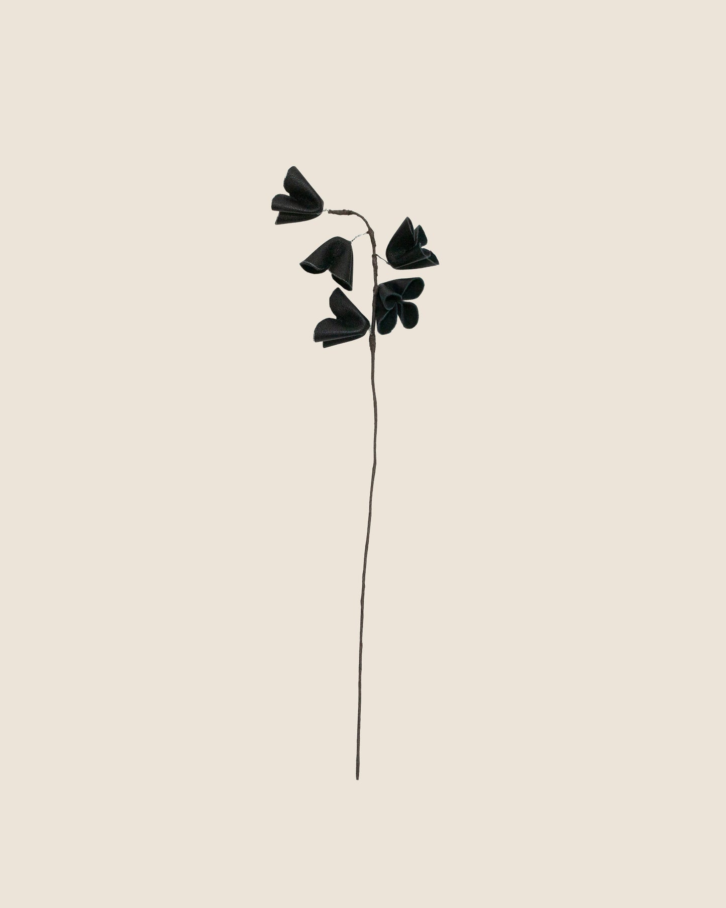 Persian Lily Flower