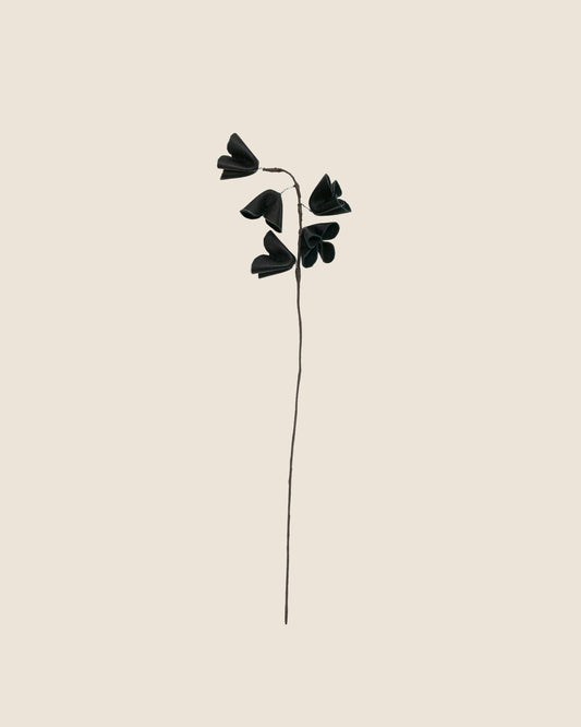 Persian Lily Flower
